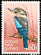 Blue-winged Kookaburra Dacelo leachii