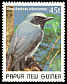 Black-throated Robin Plesiodryas albonotata  1989 Small birds 