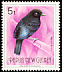Loria's Satinbird Cnemophilus loriae  1992 Birds of Paradise 