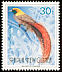 Goldie's Bird-of-paradise Paradisaea decora  1993 Birds of Paradise 