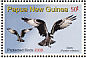 Western Osprey Pandion haliaetus  2008 Protected birds Sheet