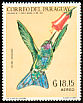 Sparkling Violetear Colibri coruscans  1969 Latin American wildlife 