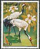 Red-crowned Crane Grus japonensis