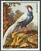 Silver Pheasant Lophura nycthemera  1972 Paintings 