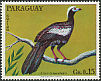 Blue-throated Piping Guan Pipile cumanensis  1973 Birds 