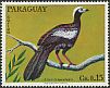 Blue-throated Piping Guan Pipile cumanensis