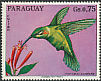 White-tailed Goldenthroat Polytmus guainumbi  1973 Birds 
