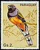 Green-backed Trogon Trogon viridis  1983 South American birds 