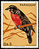 Red-breasted Blackbird Leistes militaris  1983 South American birds 