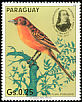 Hepatic Tanager Piranga hepatica  1985 Audubon 