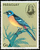 Blue-and-yellow Tanager Rauenia bonariensis  1985 Audubon 