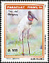 Jabiru Jabiru mycteria