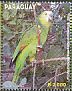 Turquoise-fronted Amazon Amazona aestiva  2013 Birds 