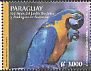 Blue-and-yellow Macaw Ara ararauna