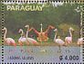 Chilean Flamingo Phoenicopterus chilensis  2017 Upaep  MS