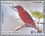 Red Tanager Piranga flava  2018 Birds of the Chaco Sheet