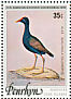 Common Gallinule Gallinula galeata  1978 Discovery of Hawaii Sheet