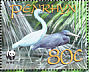 Pacific Reef Heron Egretta sacra  2008 WWF 