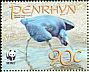 Pacific Reef Heron Egretta sacra  2008 WWF 