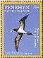 Brown Booby Sula leucogaster  2016 Pacific marine life 11v set