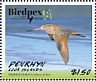 Marbled Godwit Limosa fedoa