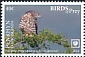 European Honey Buzzard Pernis apivorus  2018 Birds of prey White frames