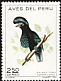 Amazonian Umbrellabird Cephalopterus ornatus  1972 Peruvian birds 