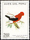 Andean Cock-of-the-rock Rupicola peruvianus  1972 Peruvian birds 
