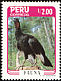 White-winged Guan Penelope albipennis  1986 Fauna 