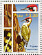 European Green Woodpecker Picus viridis  1997 Manu national park birds Sheet