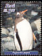 Gentoo Penguin Pygoscelis papua