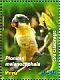 Black-headed Parrot Pionites melanocephalus