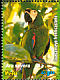 Chestnut-fronted Macaw Ara severus  2006 Parrots Sheet