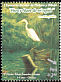 Great Egret Ardea alba  2007 Regional flora and fauna 