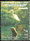 Great Egret Ardea alba