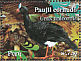 Sira Curassow Pauxi koepckeae  2009 Endangered animals 4v sheet