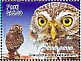 Ferruginous Pygmy Owl Glaucidium brasilianum  2009 Birds of Peru Sheet