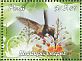 Oasis Hummingbird Rhodopis vesper  2013 Hummingbirds of Peru Sheet