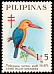 Stork-billed Kingfisher Pelargopsis capensis
