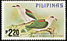 Mindoro Imperial Pigeon Ducula mindorensis