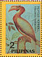 Rufous Hornbill Buceros hydrocorax  1992 Endangered birds Sheet
