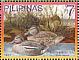 Eurasian Teal Anas crecca  2007 Ducks 