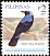 Asian Fairy-bluebird Irena puella  2007 Birds 
