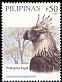 Philippine Eagle Pithecophaga jefferyi