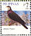 Metallic Pigeon Columba vitiensis  2008 Taipei 2008 Sheet