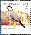 Java Sparrow Padda oryzivora  2008 Taipei 2008 Sheet
