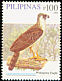 Philippine Eagle Pithecophaga jefferyi  2008 Birds 