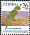 Great-billed Parrot Tanygnathus megalorynchos  2008 Birds 