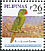 Blue-naped Parrot Tanygnathus lucionensis  2008 Birds 