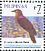 Amethyst Brown Dove Phapitreron amethystinus  2008 Birds, stamps with blue bottom line 